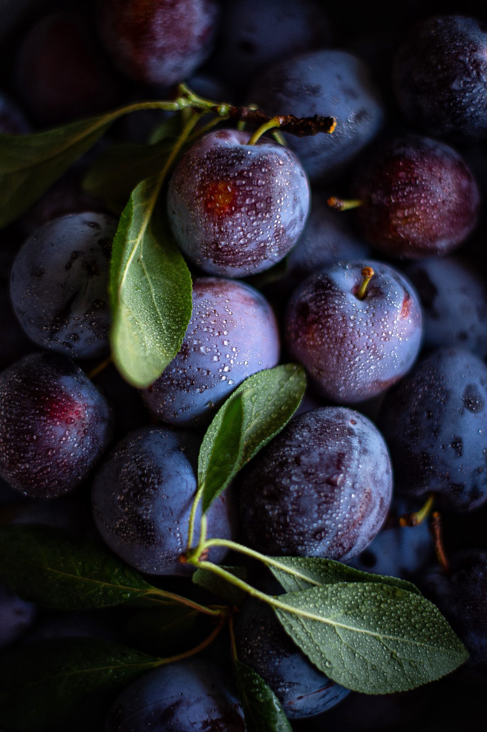 Plums used in choya sparkling sake